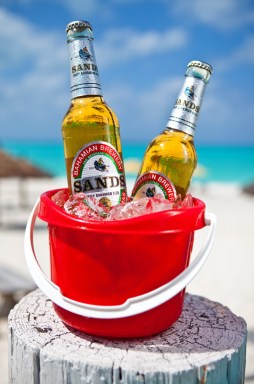 171bb8b31575650148c04d6d29b49171