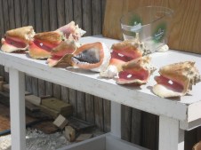 34fa4ba2eb50201924677f5149587ec6