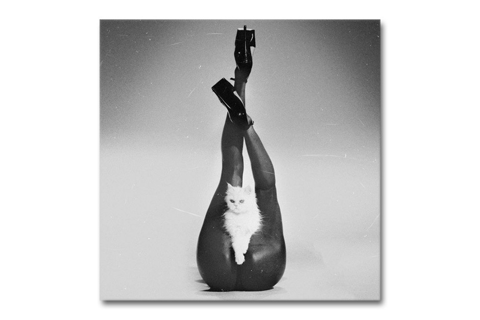 estelle-make-her-say-beat-it-up-1