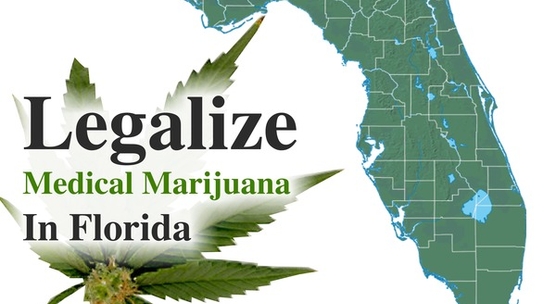 legalize-medical-marijuana-in-florida-thcfinder
