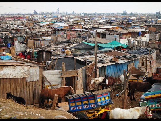 280053_256592344354736_256573324356638_1166246_4225449_o