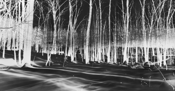 2014-Cold-Spring-IX-600x313