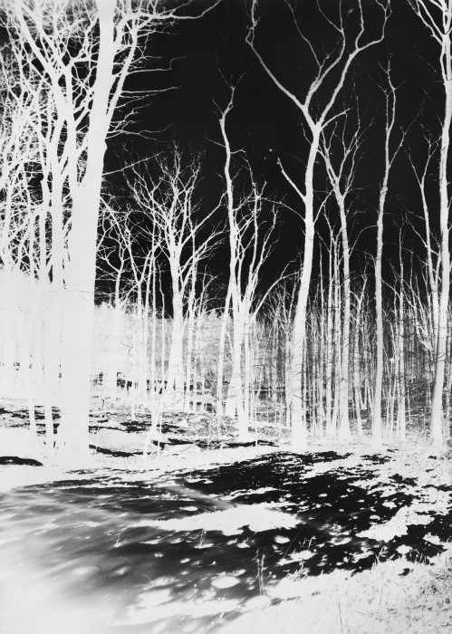 2014-Cold-Spring-XI-499x700