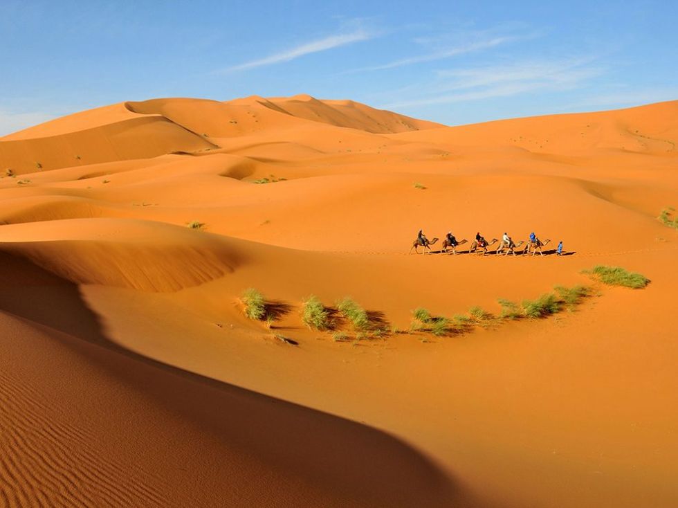 camels-dunes-morocco-desert_82049_990x742