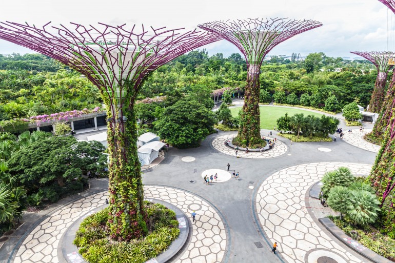 singapore-gardens-by-the-bay-supertree-cloud-forest-4