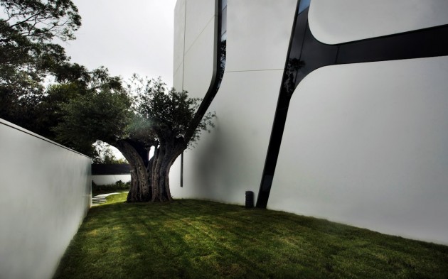 wh_300714_16-630x393