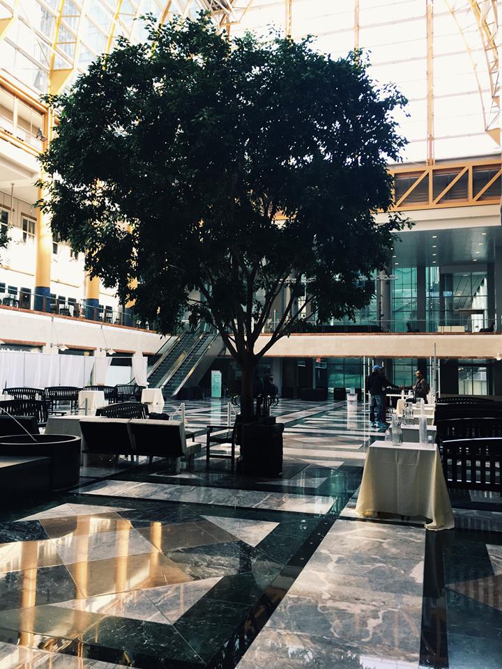 11051911_10203717863176990_3837923648626080645_n